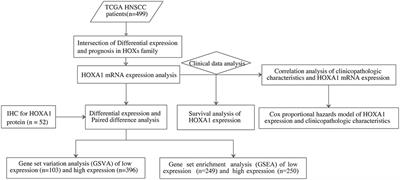Identification of HOXA1 as a Novel Biomarker in Prognosis of Head and Neck Squamous Cell Carcinoma